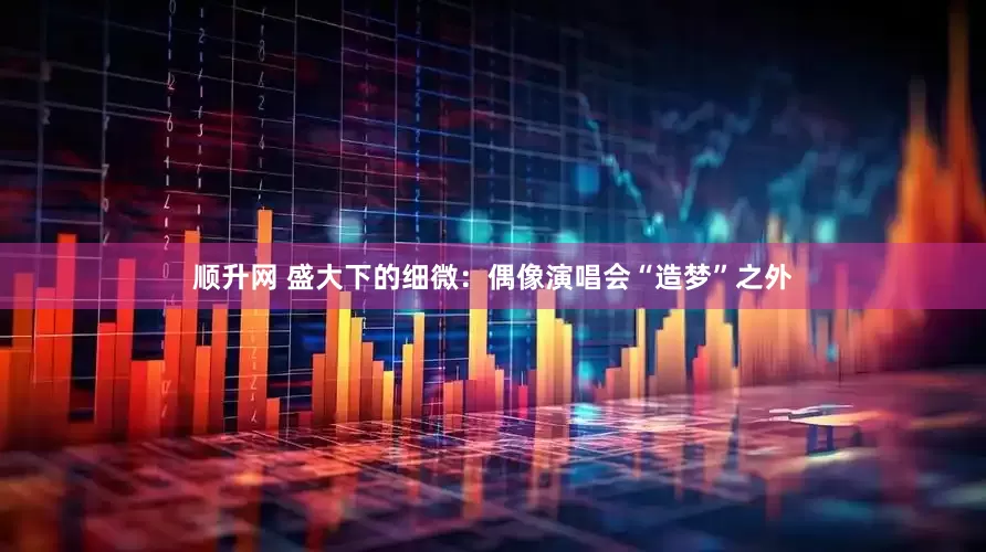 顺升网 盛大下的细微：偶像演唱会“造梦”之外