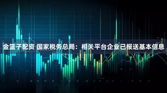 金篮子配资 国家税务总局：相关平台企业已报送基本信息