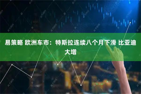 易策略 欧洲车市：特斯拉连续八个月下滑 比亚迪大增