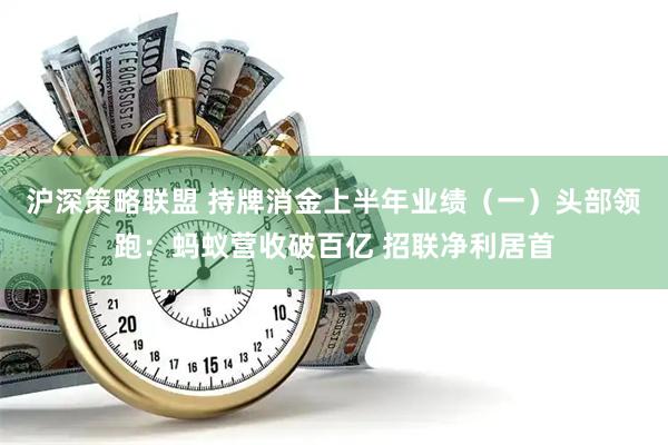 沪深策略联盟 持牌消金上半年业绩（一）头部领跑：蚂蚁营收破百亿 招联净利居首